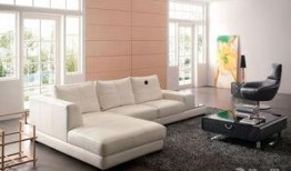 爆料沙发的视频,视频爆料背后的惊人真相